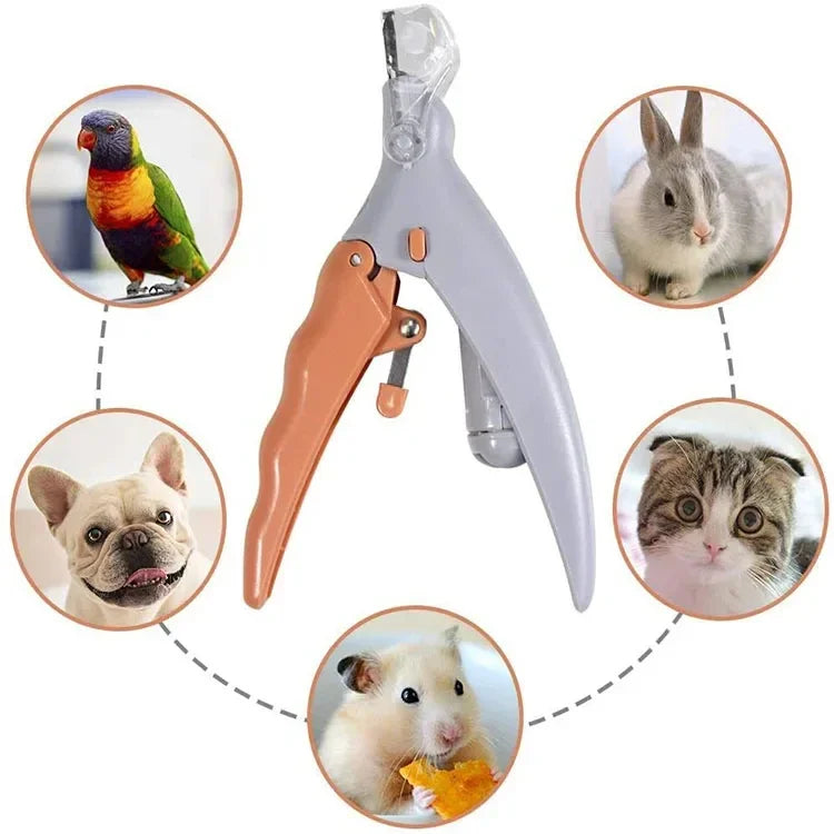 Professional Pet Nail Clipper with LED Light – Dog & Cat Nail Scissors for Safe Grooming