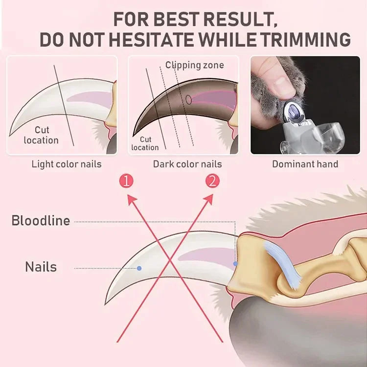 Professional Pet Nail Clipper with LED Light – Dog & Cat Nail Scissors for Safe Grooming