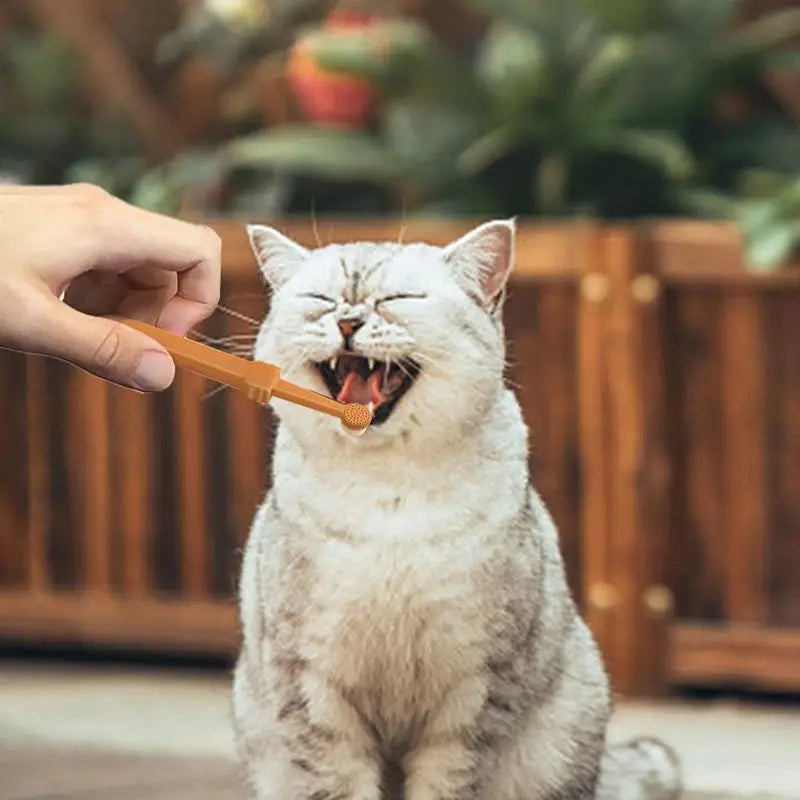 Soft Silicone Pet Toothbrush Kit – Dog & Cat Finger Brush for Teeth Cleaning and Oral Care