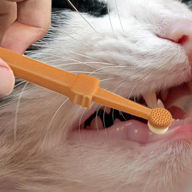 Soft Silicone Pet Toothbrush Kit – Dog & Cat Finger Brush for Teeth Cleaning and Oral Care