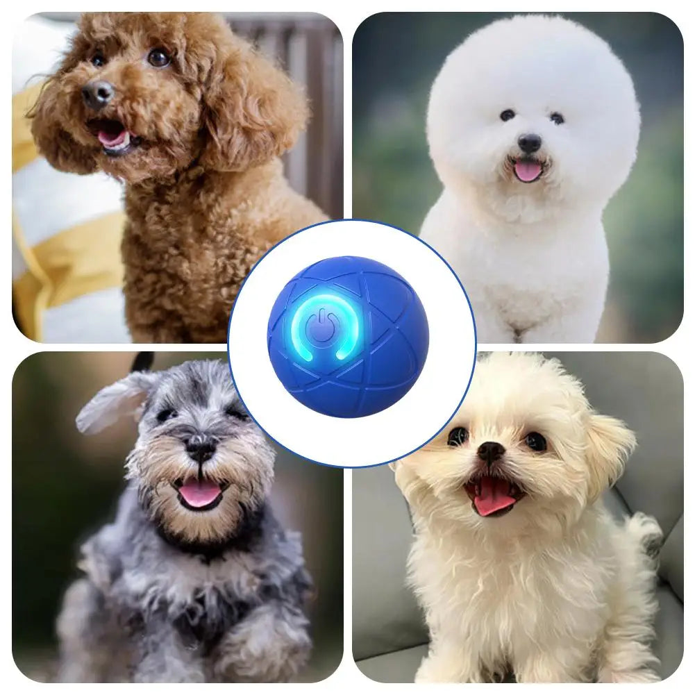 Smart Interactive Dog Toy Ball – Electronic Moving Gravity Ball for Pets, Bite-Resistant & Rechargeable
