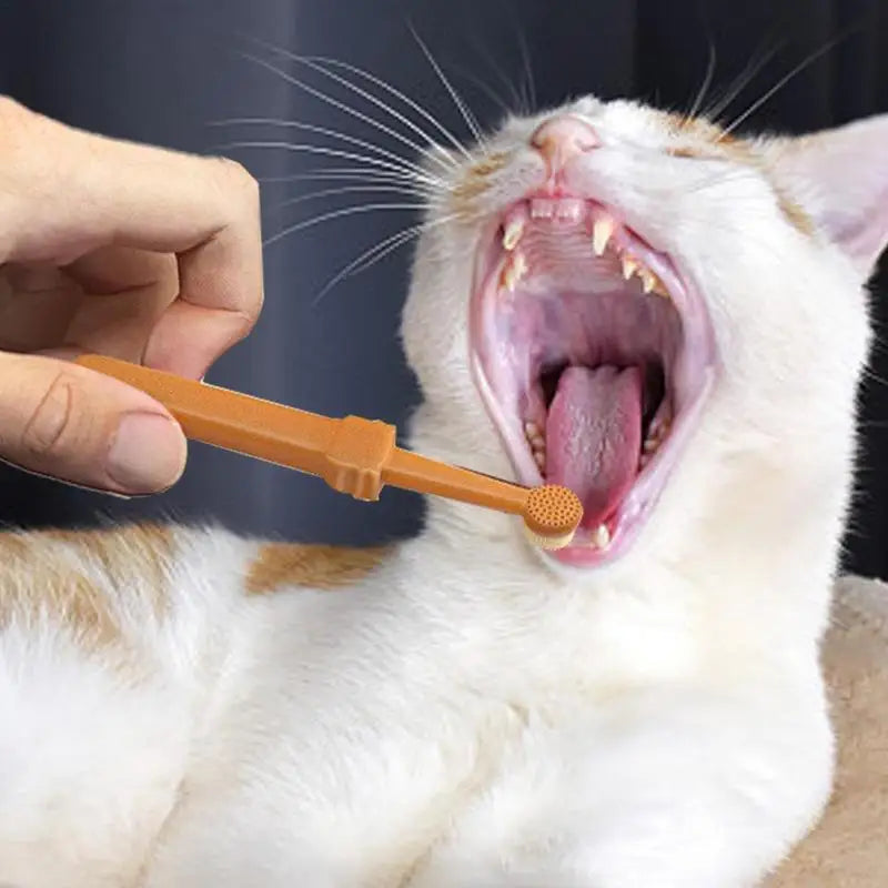 Soft Silicone Pet Toothbrush Kit – Dog & Cat Finger Brush for Teeth Cleaning and Oral Care